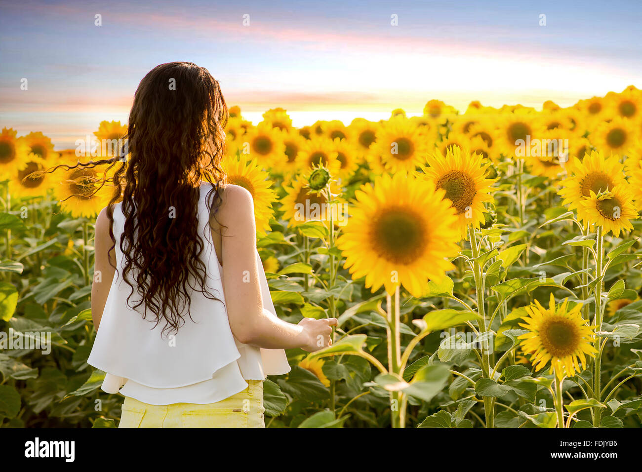 Young woman standing in sunflower field Stock Photo - Alamy