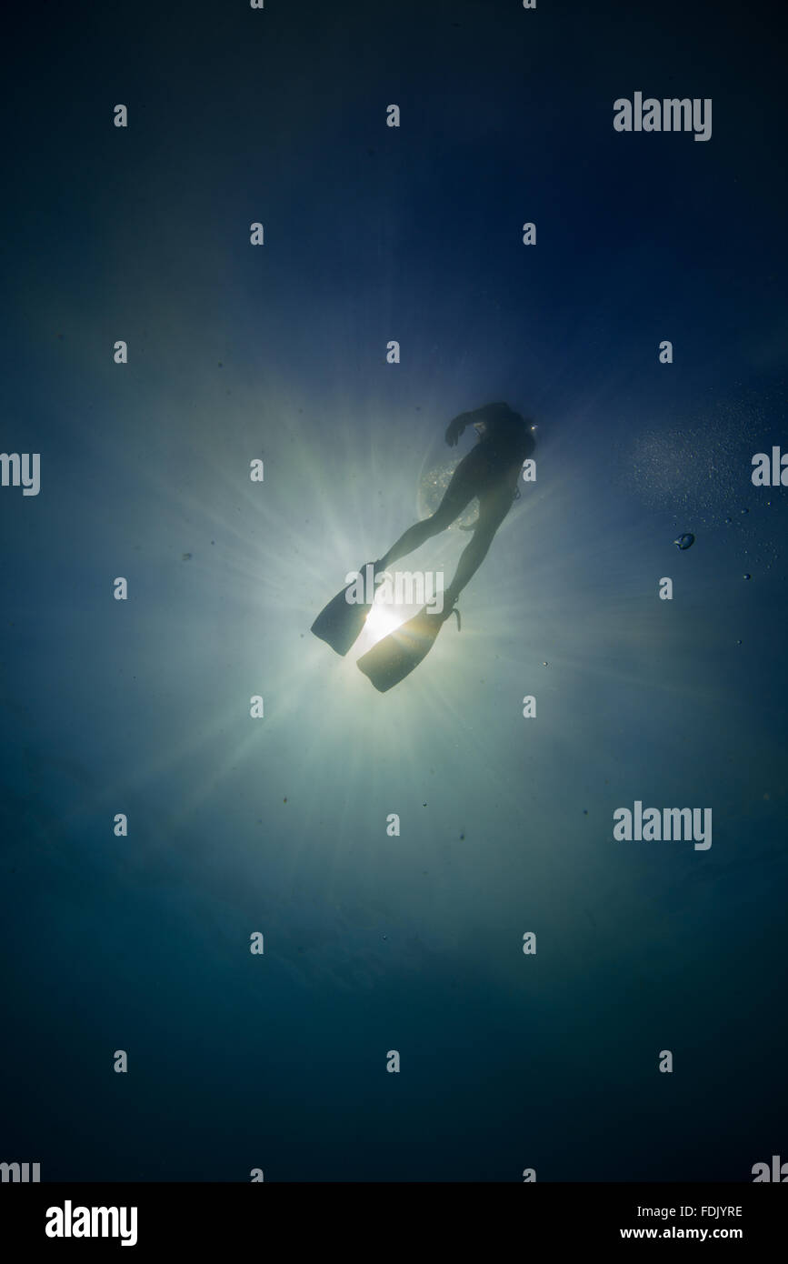 Woman swimming underwater Stock Photo Alamy