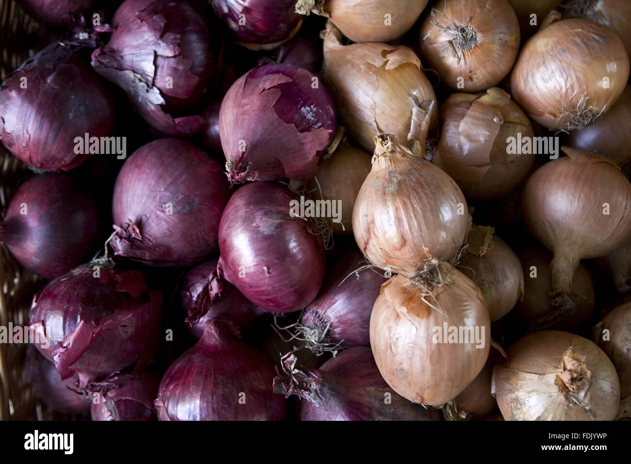 Red and white onions on sale in the Farm Shop at Polesden Lacey, Surrey. Stock Photo