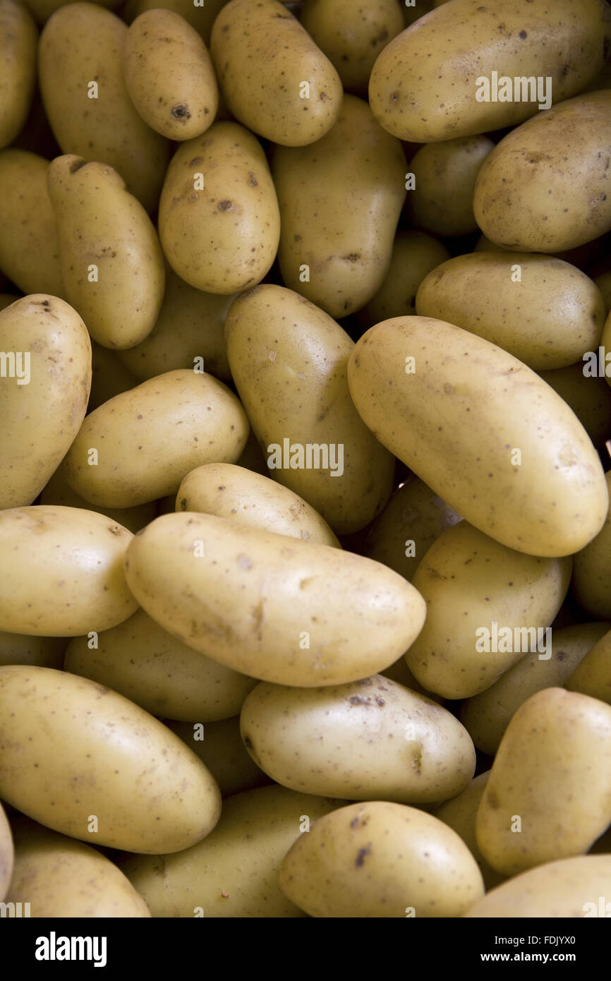 Potatoes on sale in the Farm Shop at Polesden Lacey, Surrey. Stock Photo