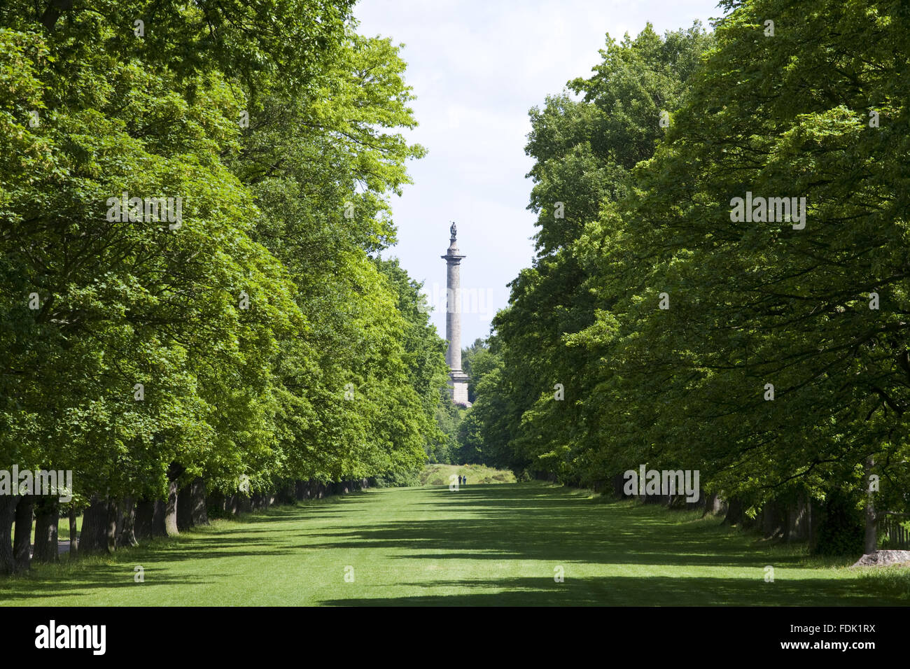 View down the Long Walk towards the Column to Liberty rising 140 feet above the estate at Gibside, Newcastle upon Tyne. Stock Photo