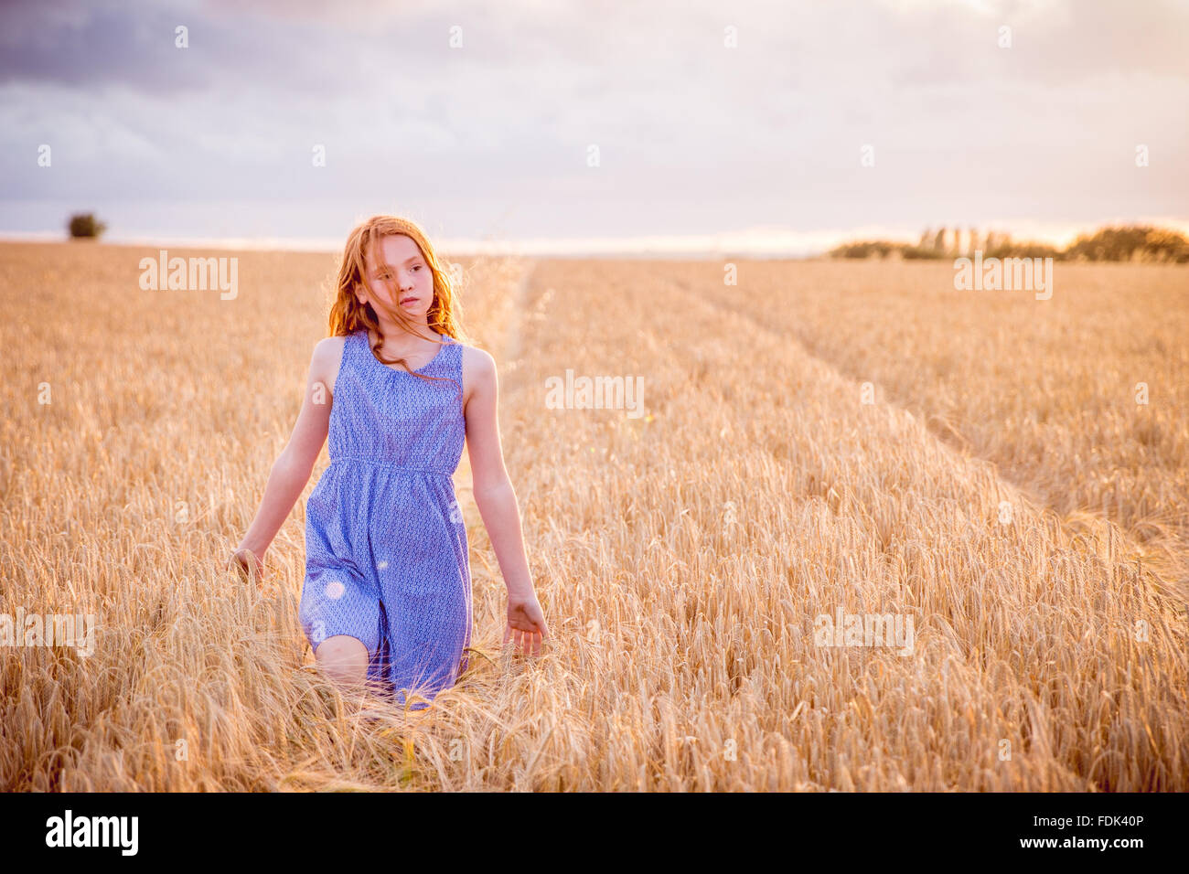 Girl walking through barley field, Bedfordshire, England, United Kingdom Stock Photo