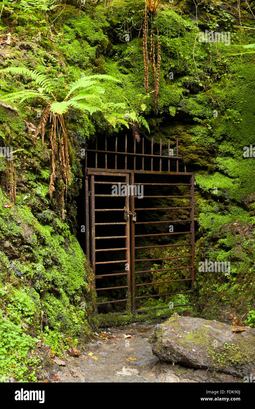 Entrance to mine adit in Lydford Devon. The mine was used to