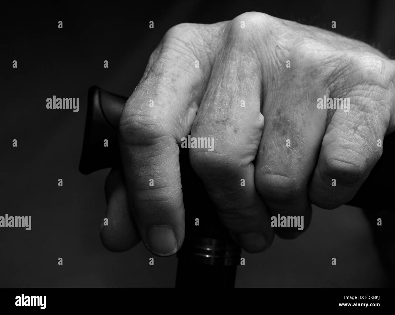 Hands of an elderly woman with chronic health and medical issues grasp a walking cane. Stock Photo