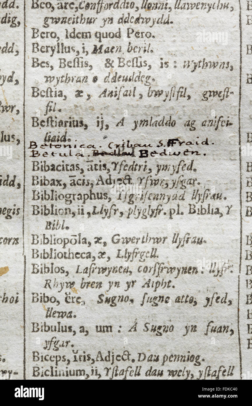 John Davies, Antiquae Linguae Britannicae (London: R. Young, 1632), fol., ESTC S122150, STC 6347, with early manuscript additions  at Chirk Castle, Wrexham. Stock Photo