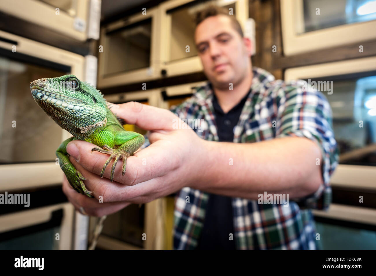 Reptile centre hires stock photography and images Alamy