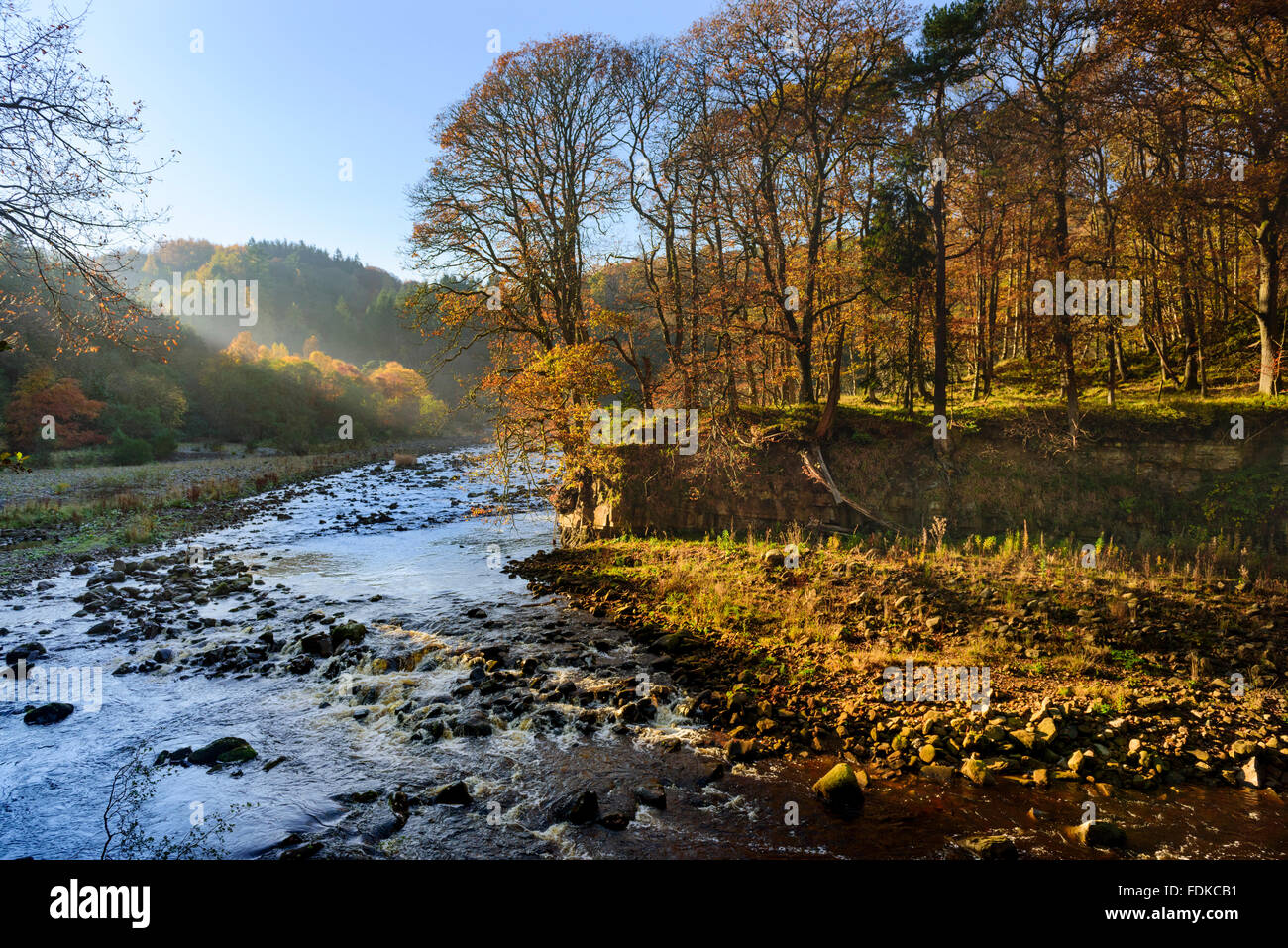 The river Allen at Staward Gorge Stock Photo