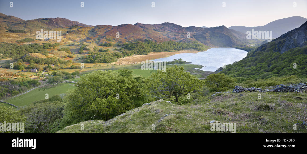 A panoramic view of Llyndy Isaf, a farm estate of 600 acres in Snowdonia, in the Nant Gwynant valley near Beddgelert, Gwynedd, Wales. Stock Photo