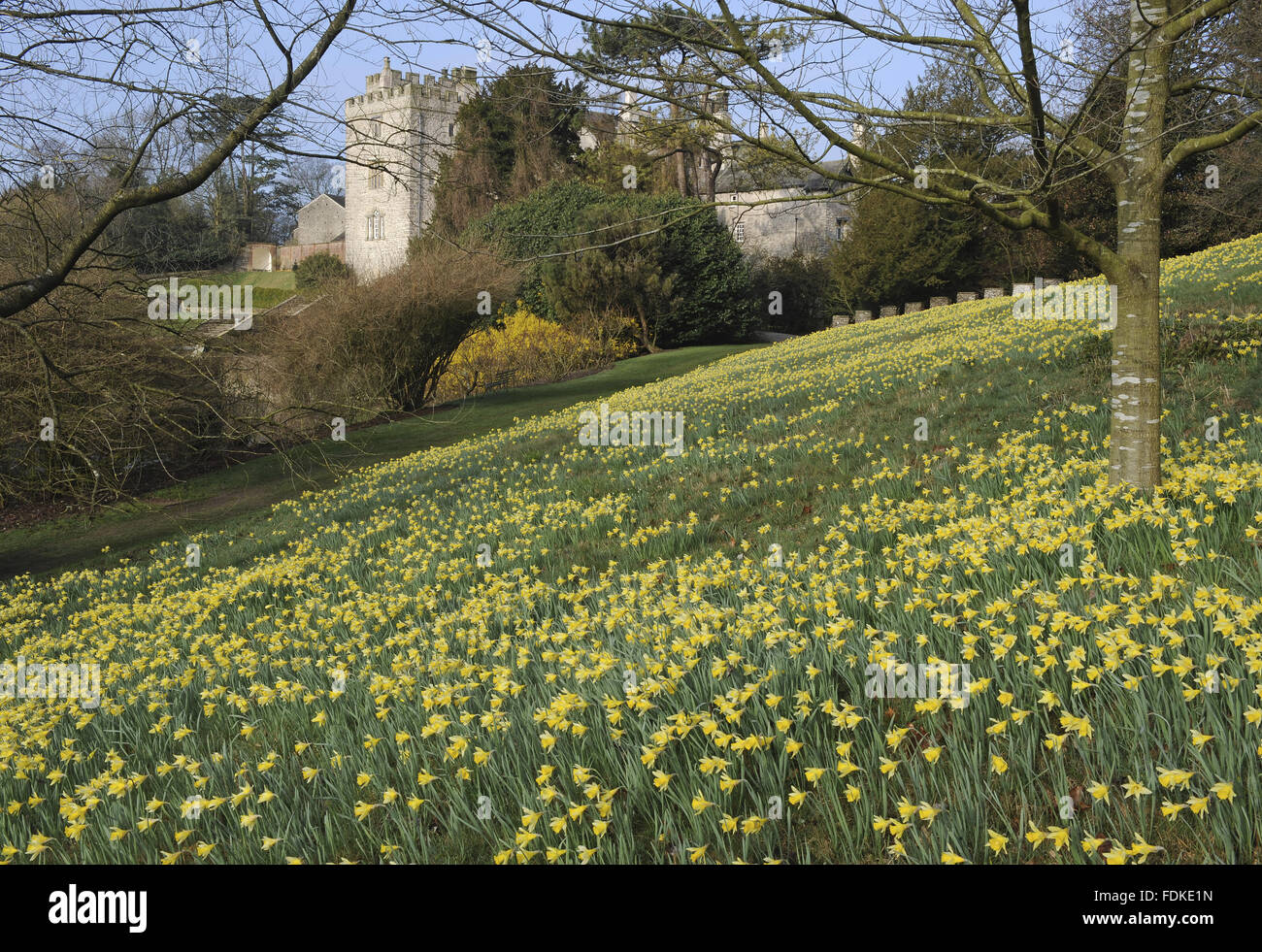 Atomic subshell. Filling grounds. Filling grounds. Filling grounds. Boiling chips.
