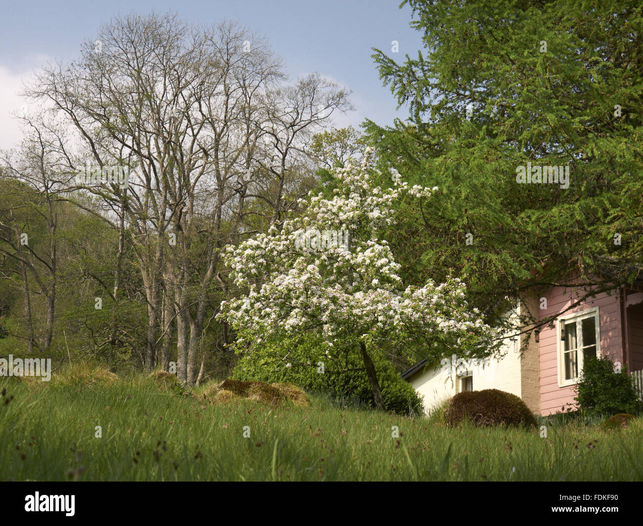 Nant Las Near Dolgellau A National Trust Holiday Cottage On The