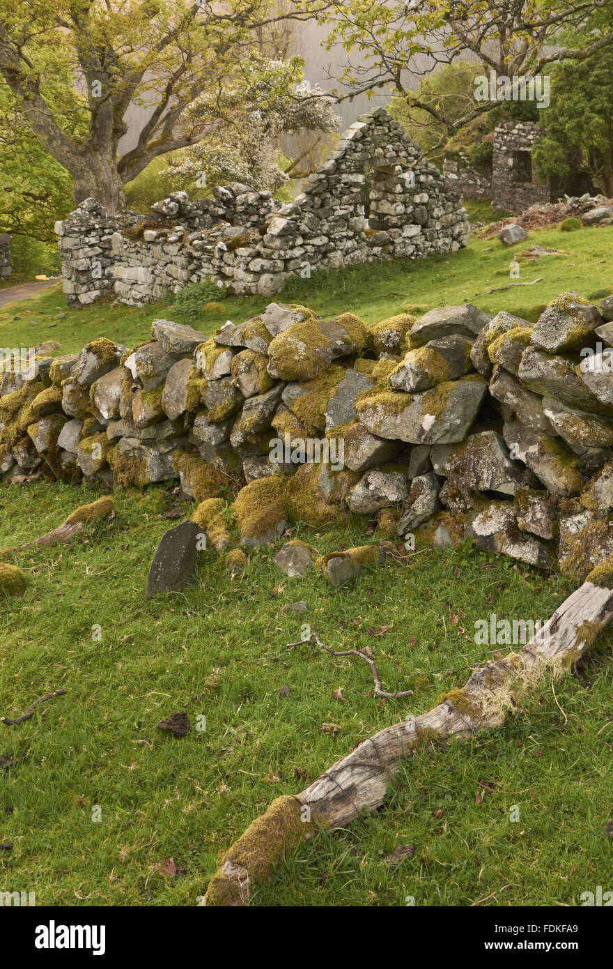 The ruin of Berth Lwyd on the Dolmelynllyn Estate, Gwynedd, Wales. Stock Photo