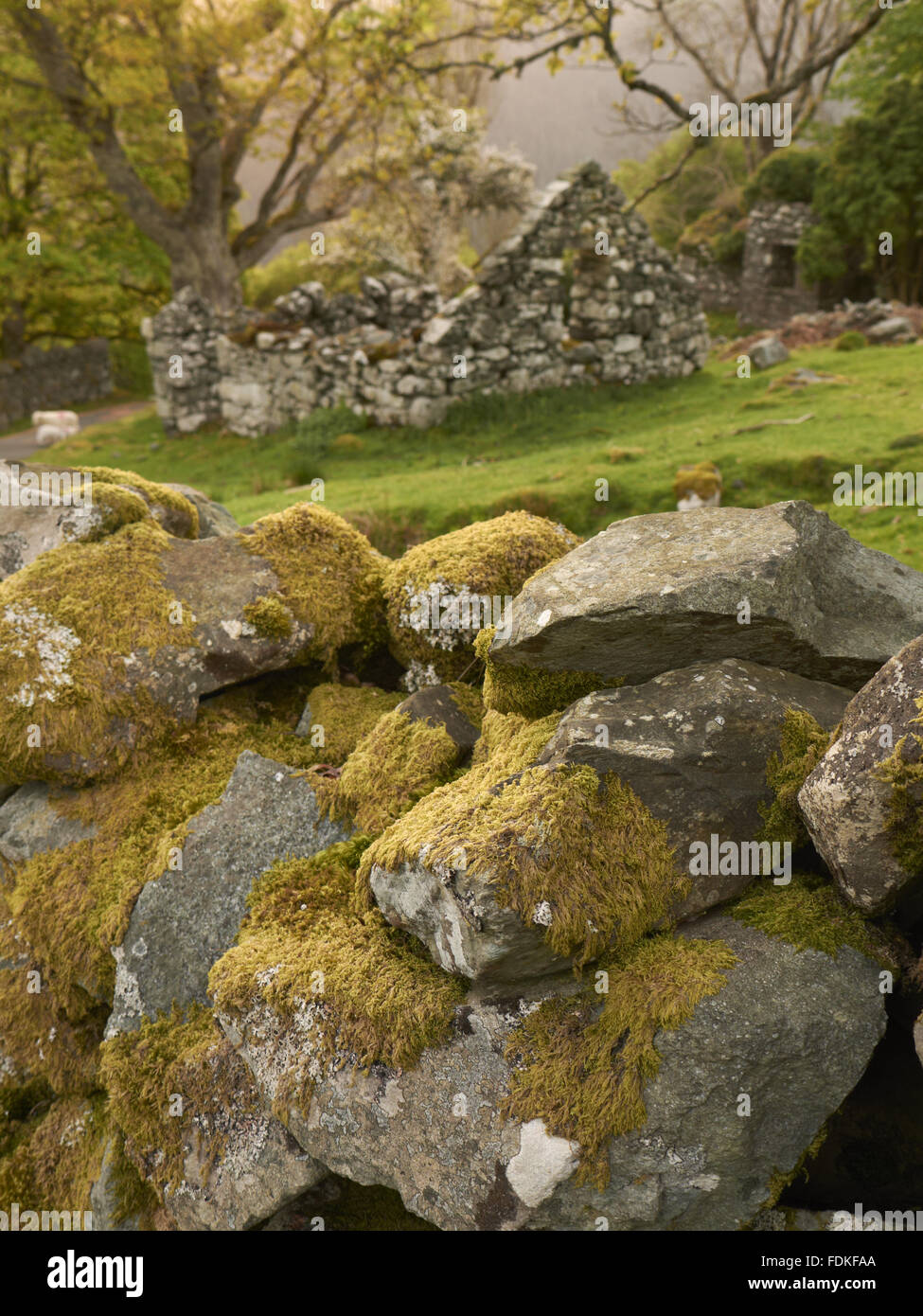 The ruin of Berth Lwyd on the Dolmelynllyn Estate, Gwynedd, Wales. Stock Photo