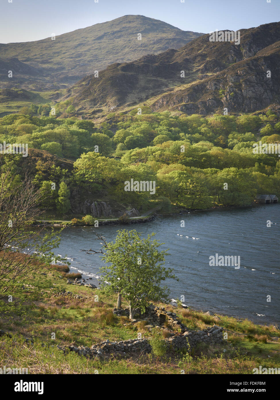 Llyndy Isaf, an estate of 600 acres in Snowdonia, in the Nant Gwynant valley near Beddgelert