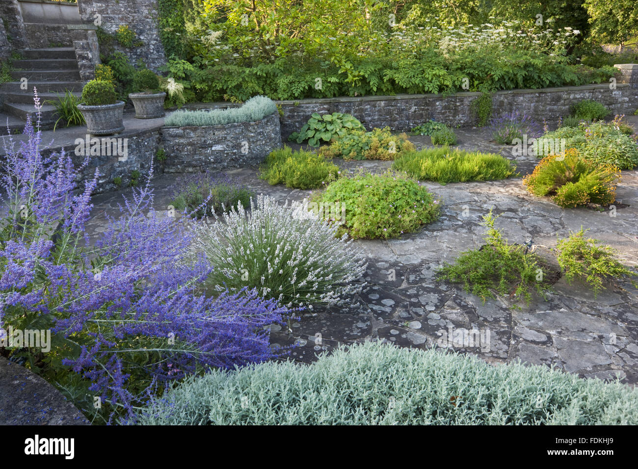 The Mediterranean Garden in July at Dyffryn Gardens, Vale of Glamorgan. Stock Photo