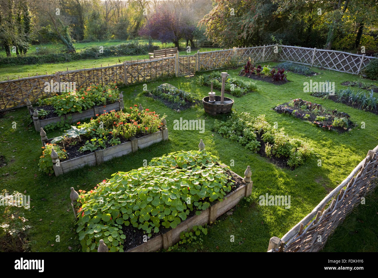 The Tudor Garden at Trerice, Cornwall. Stock Photo