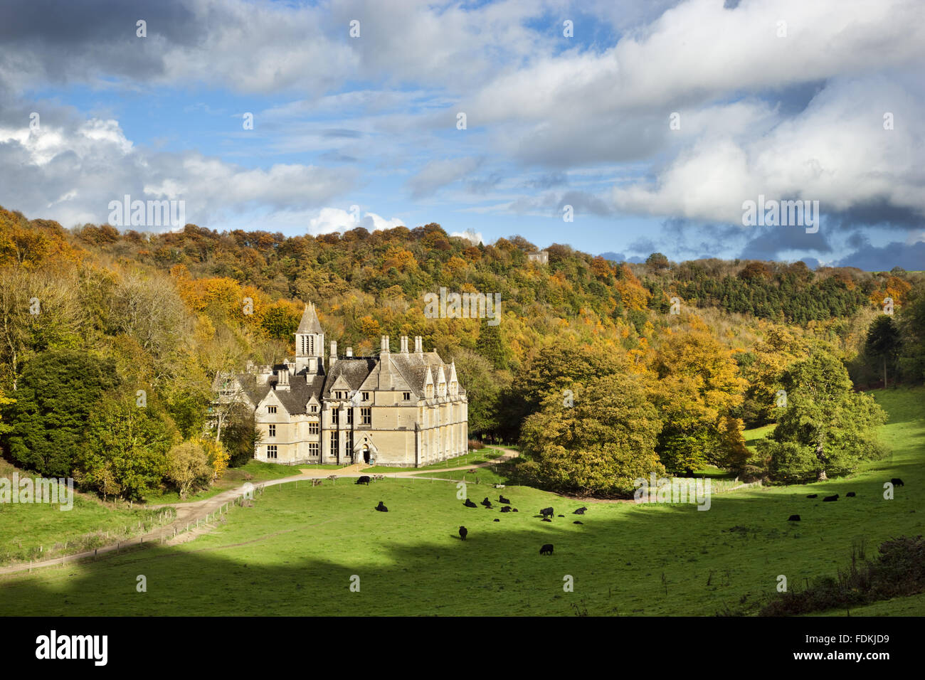 Woodchester Mansion (not National Trust), at Woodchester Park, Gloucestershire. Stock Photo