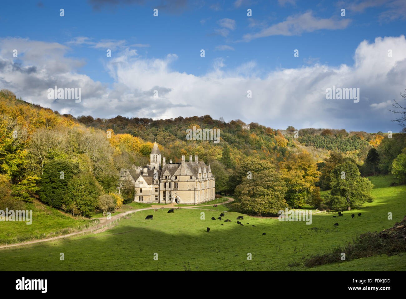 Woodchester Mansion (not National Trust), at Woodchester Park, Gloucestershire. Stock Photo