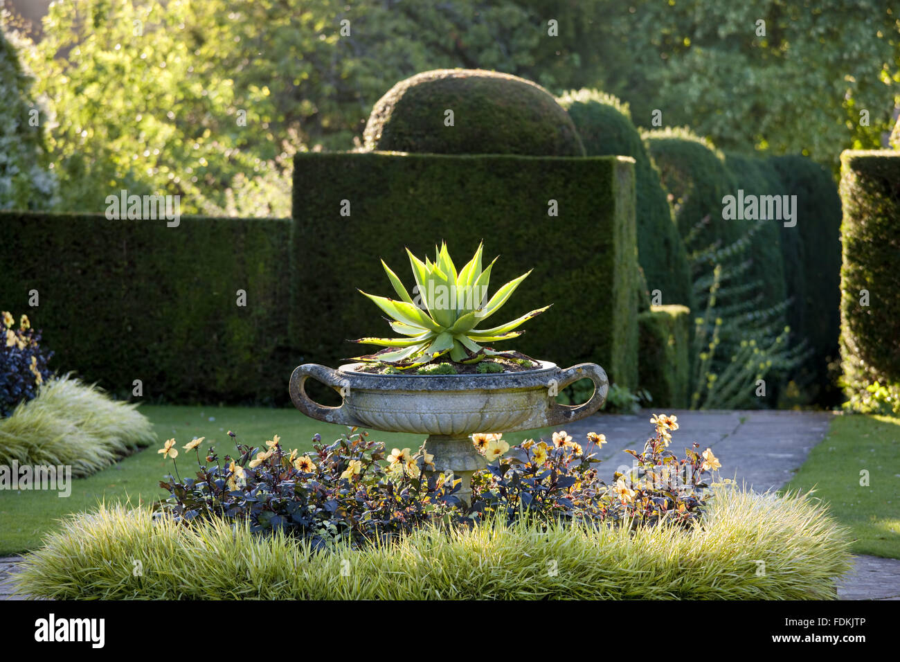 The Yew Garden in July at Hinton Ampner, Hampshire Stock Photo Alamy