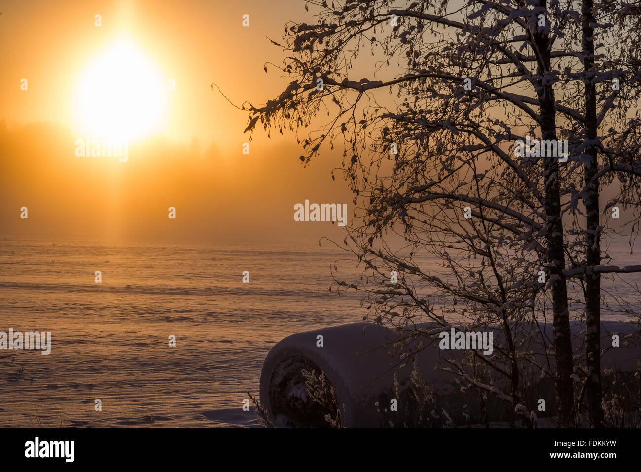 Cold winter sunrise in Finnish countryside Stock Photo