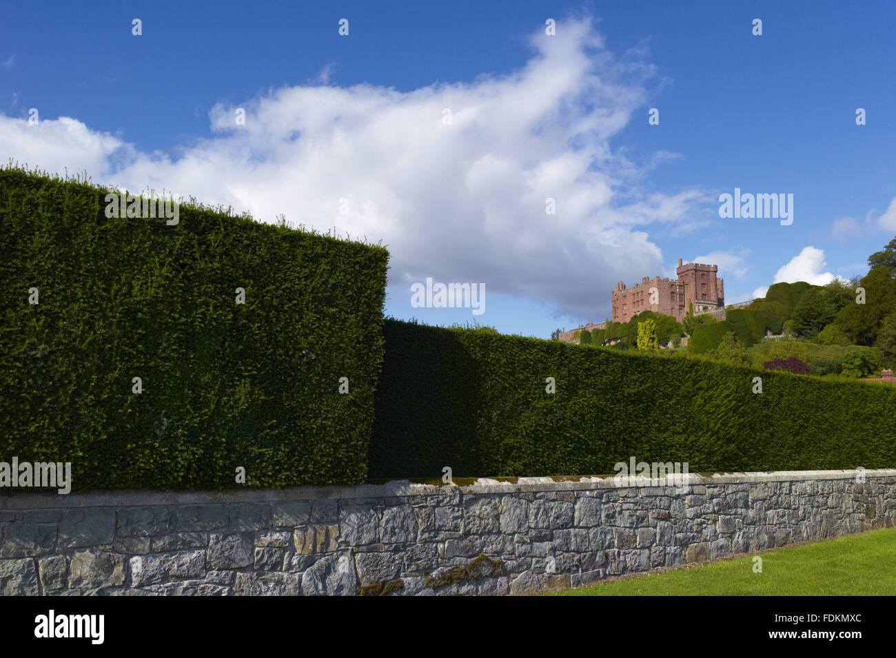 Geometric topiary hedge surrounding the Fountain Garden at Powis Castle and Garden, Powys. Stock Photo
