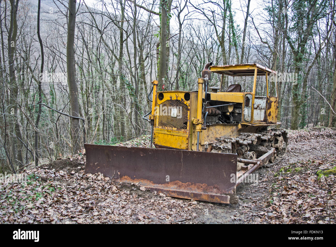 Old abandoned bulldozer in the woods. Stock Photo