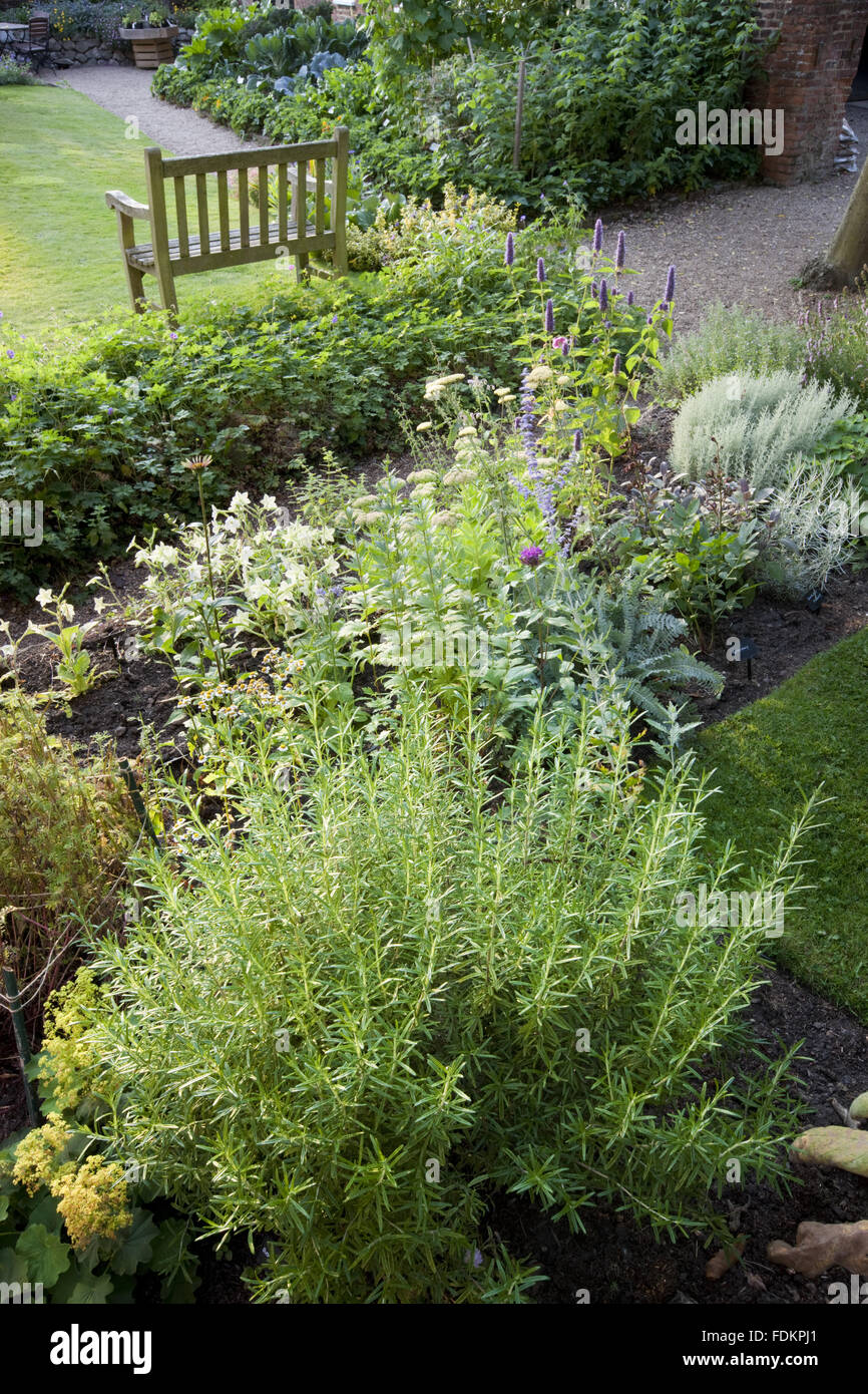 The herb garden in August at Quebec House, Westerham, Kent Stock Photo