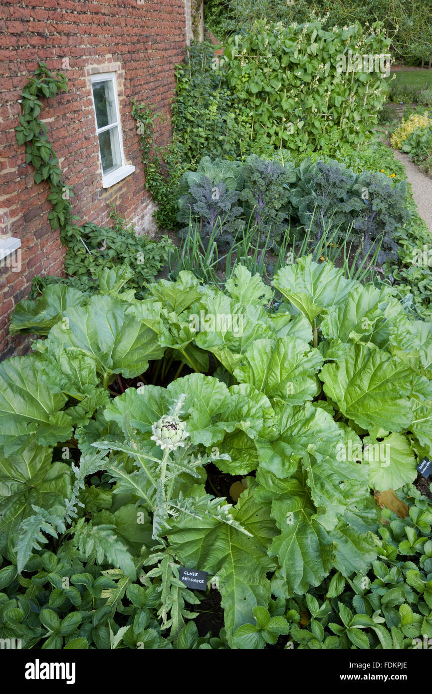 The Kitchen bed with vegetables growing in August at Quebec House, Westerham, Kent. Stock Photo
