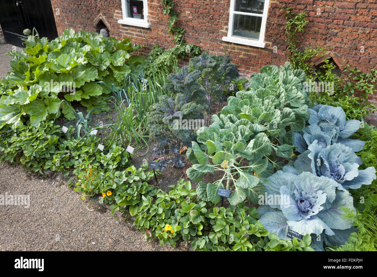 The Kitchen bed with vegetables growing in August at Quebec House, Westerham, Kent. Stock Photo