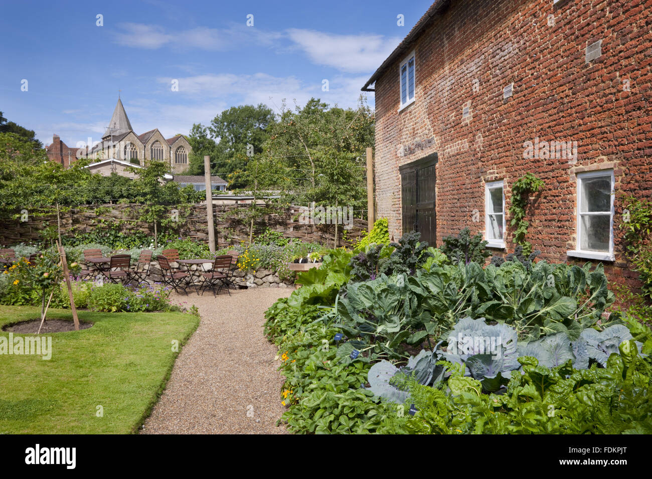 The Kitchen bed against the Coach House with vegetables growing in August at Quebec House, Westerham, Kent. The church in the distance is not National Trust. Stock Photo