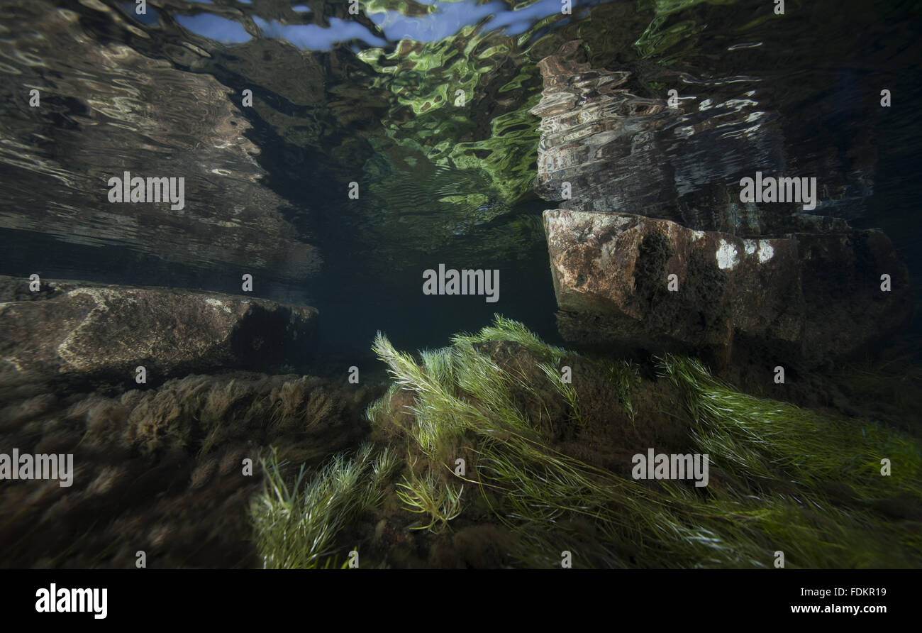 Underwater landscape in a mountain lake, Llyn Idwal, Snowdonia, Wales