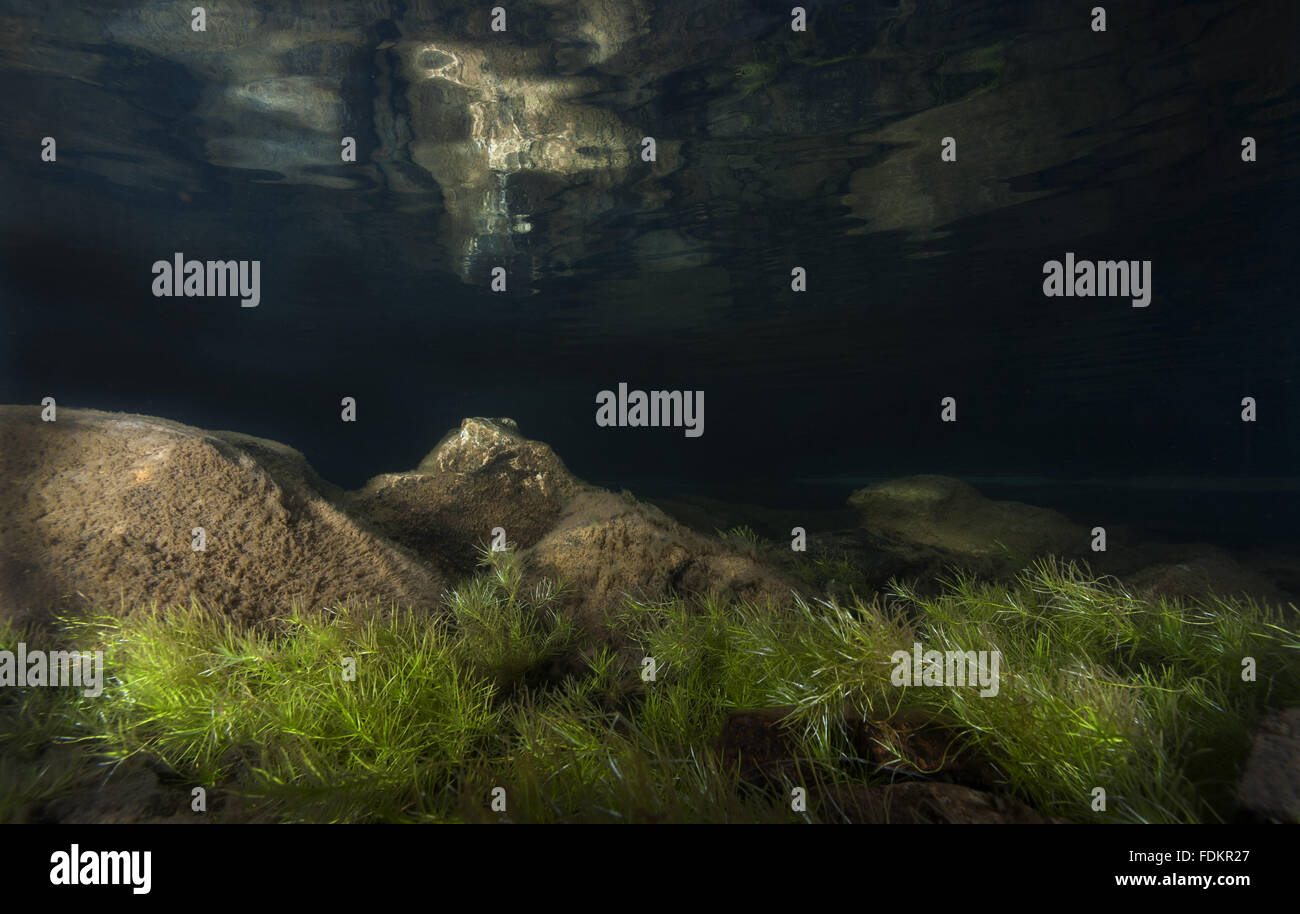 Underwater landscape in a mountain lake, Llyn Idwal, Snowdonia, Wales
