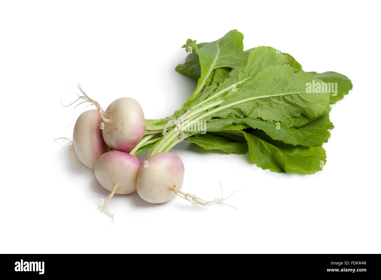 Fresh young small turnips on white background Stock Photo
