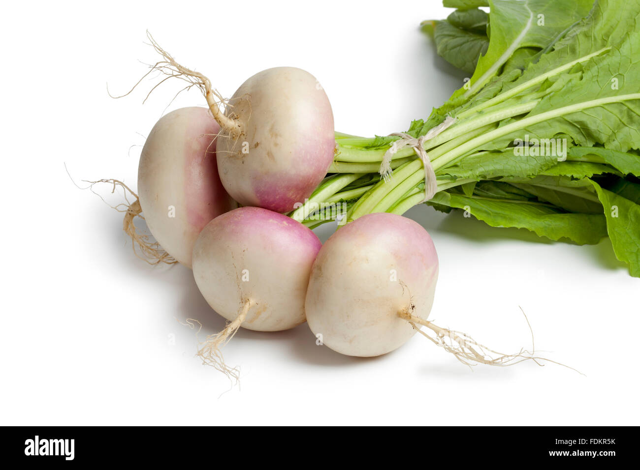 Fresh young small turnips closeup on white background Stock Photo