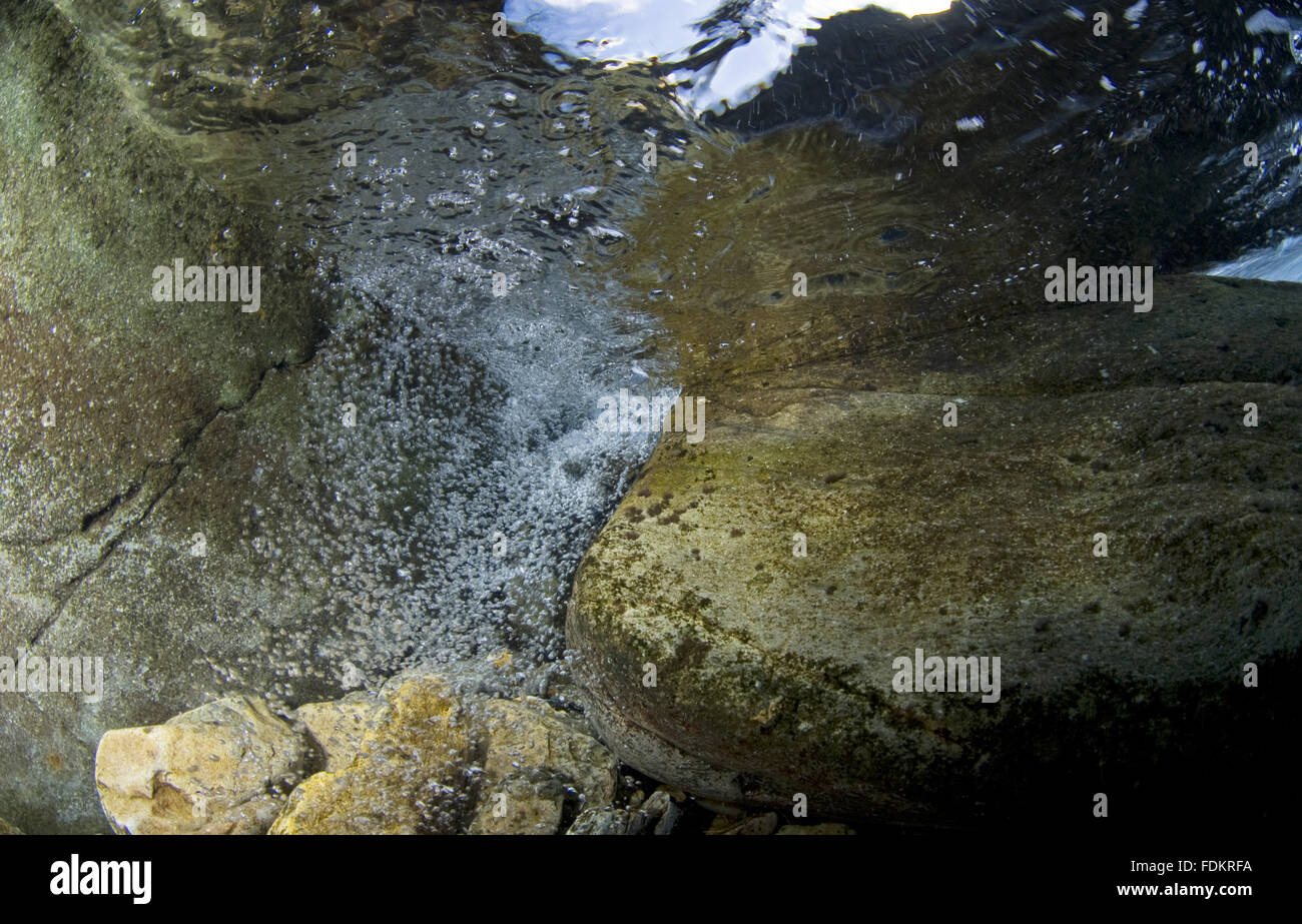 The underwater landscape within a mountain stream, Snowdonia, Wales