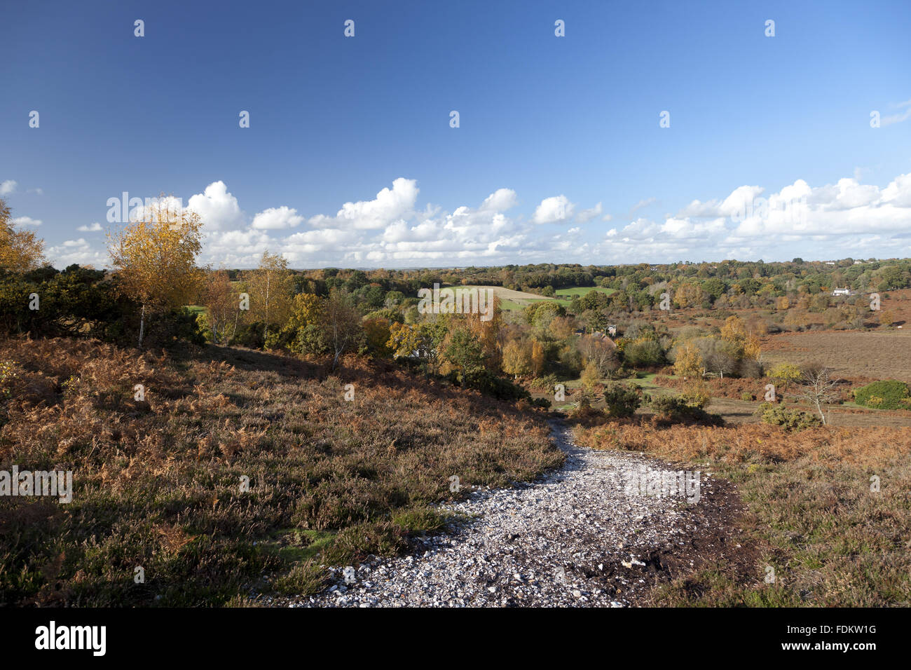 View north from Furze Hill, Hampshire, in October Stock Photo Alamy
