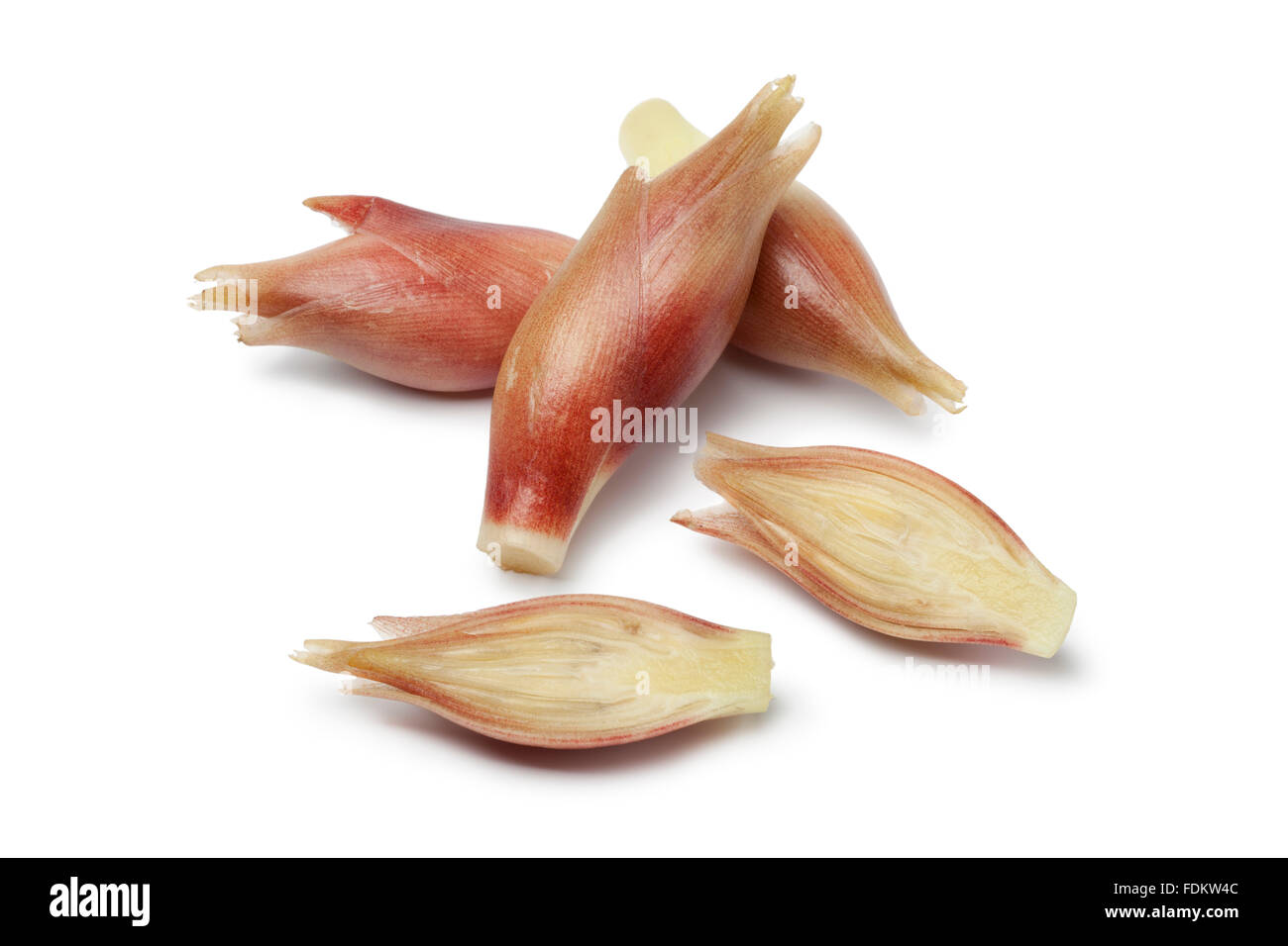 Whole and half fresh ginger buds on white background Stock Photo