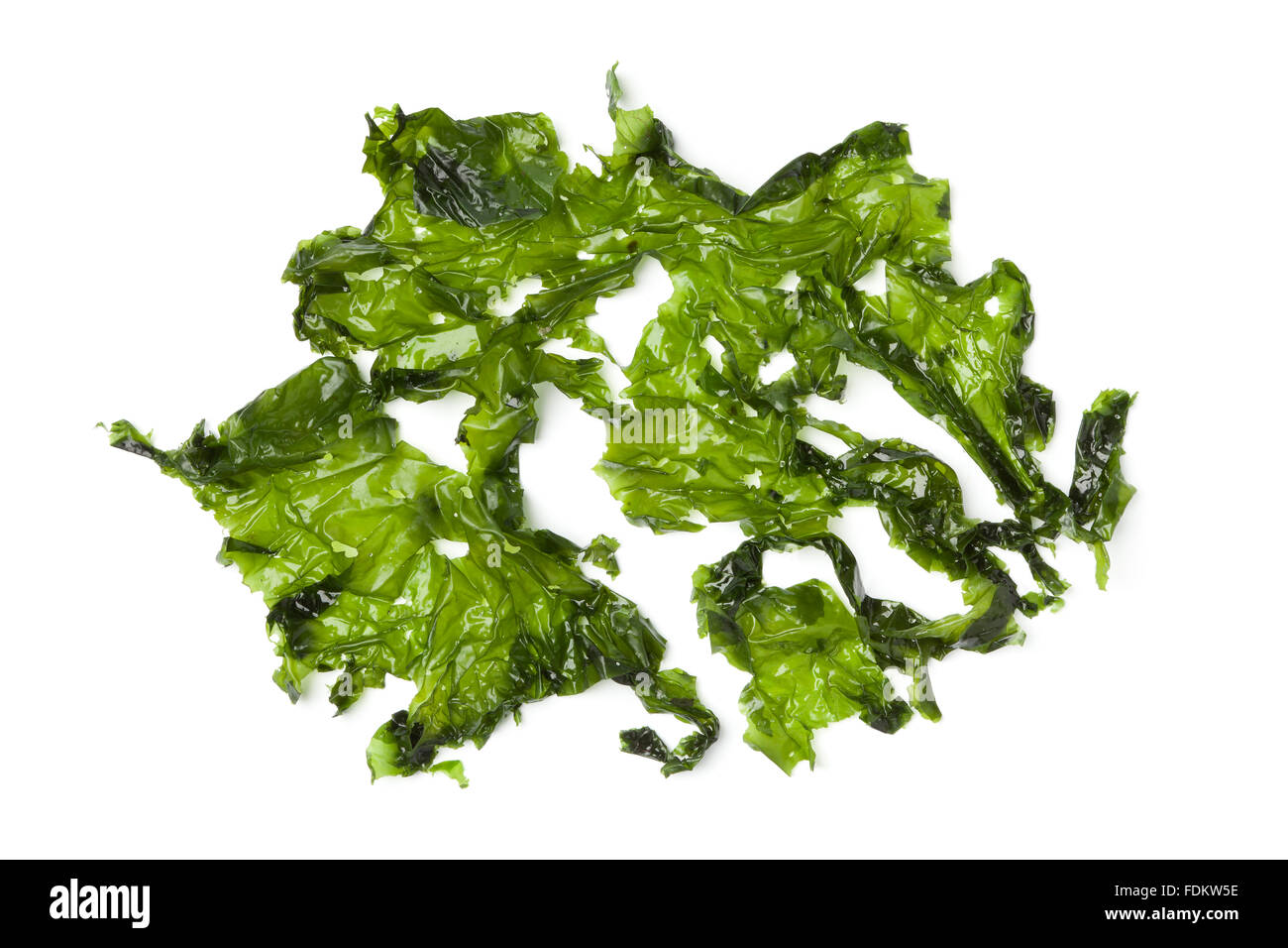 Salted sea lettuce on white background Stock Photo