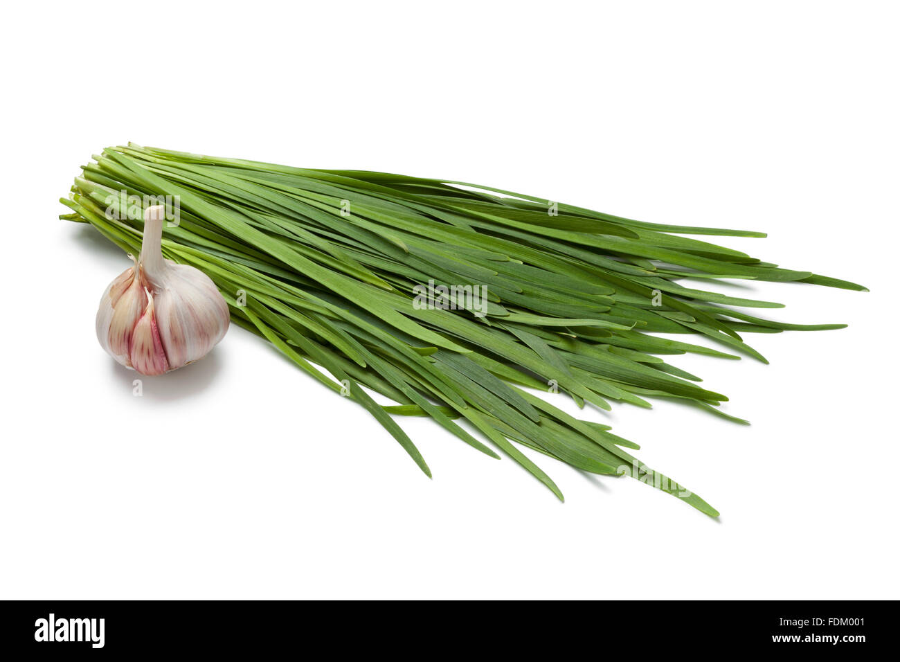 Fresh Chinese chives and garlic on white background, Stock Photo