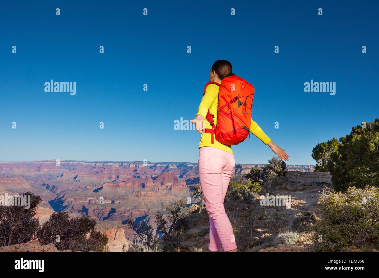 Young woman hiker on the edge of Grand canyon Stock Photo - Alamy