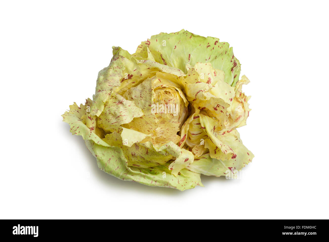 Radicchio CastelFranco lettuce on white background Stock Photo