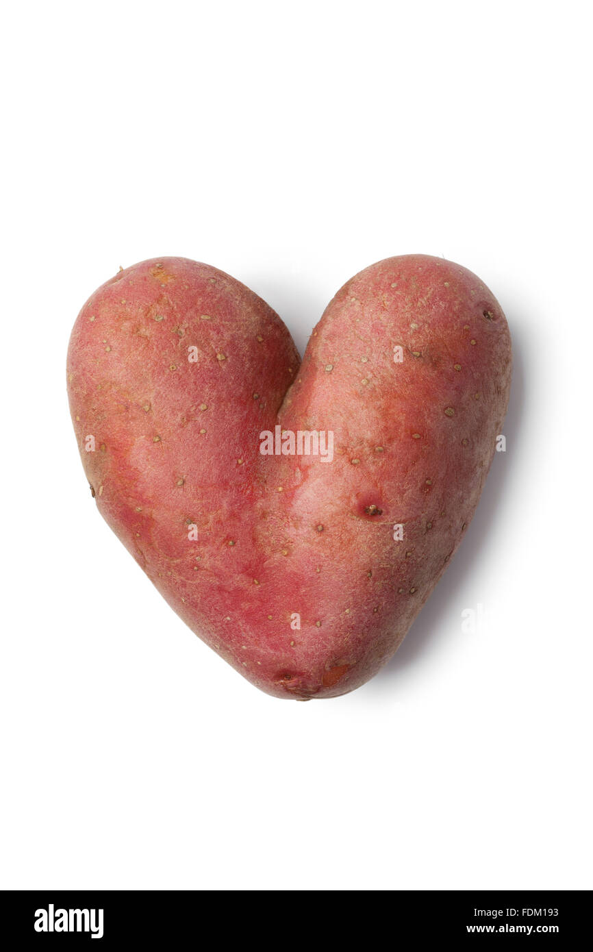 Heart shaped Roseval potato on white background Stock Photo