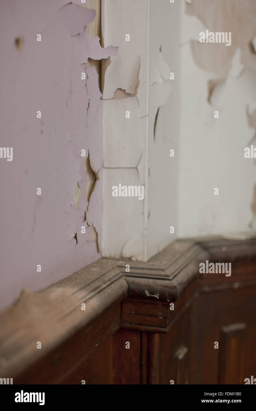 Peeling paint above wooden panelling at Dyffryn House, Vale of Glamorgan. Photograph taken in 2011 before conservation or restoration work undertaken. Stock Photo