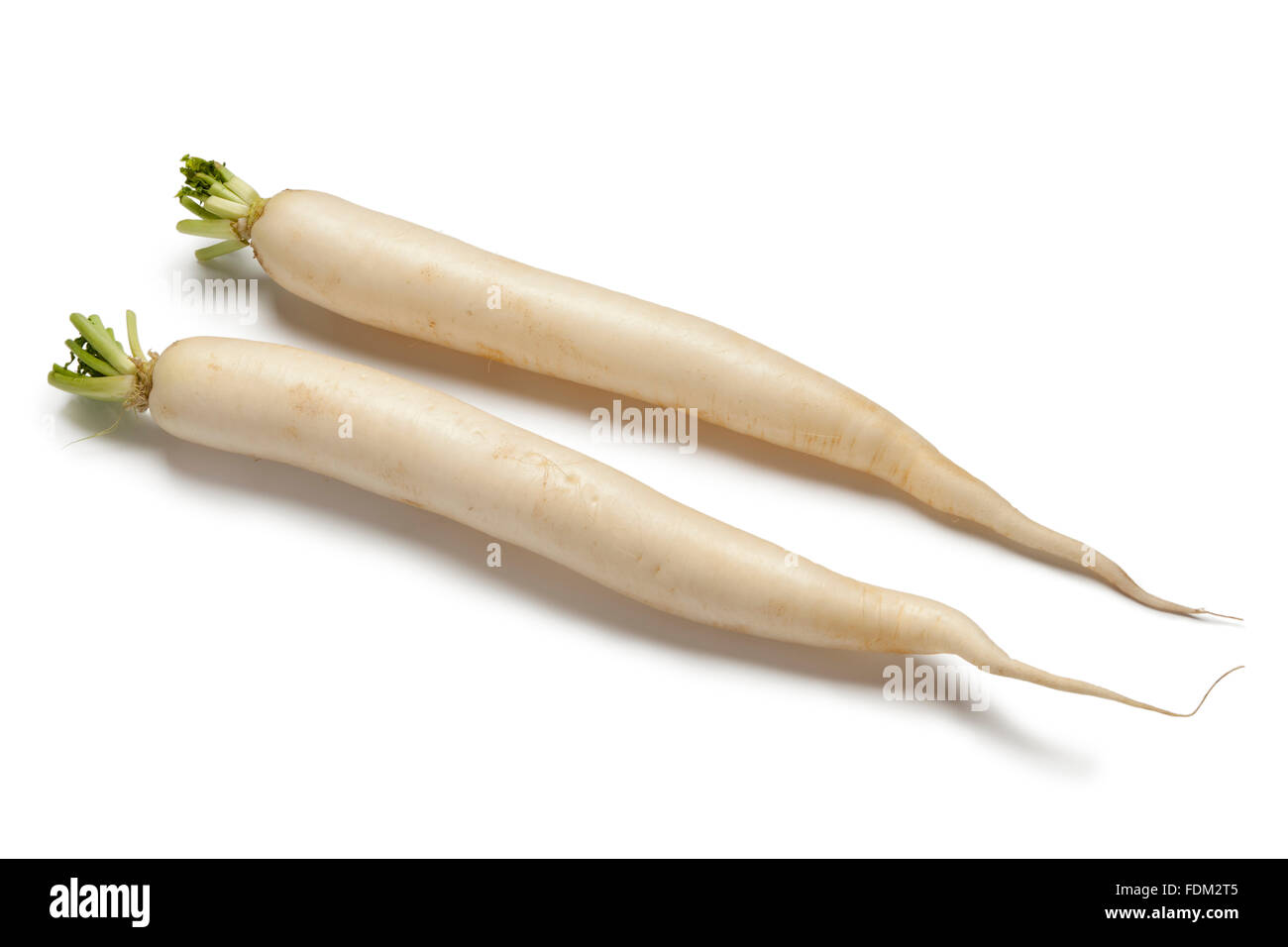 Fresh long white Radish on white backgrpound Stock Photo