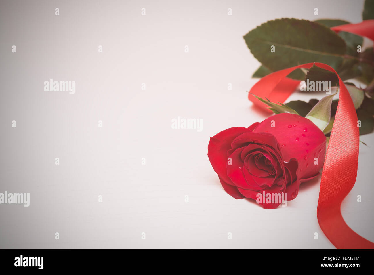 Red rose with ribbon on a light wooden background. Women' s day ...