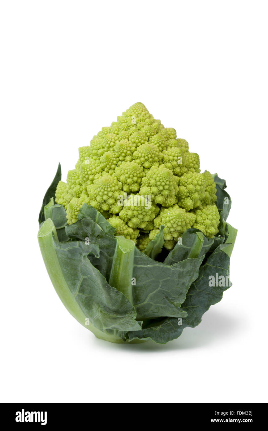 Fresh mini Romanesco cabbage on white background Stock Photo