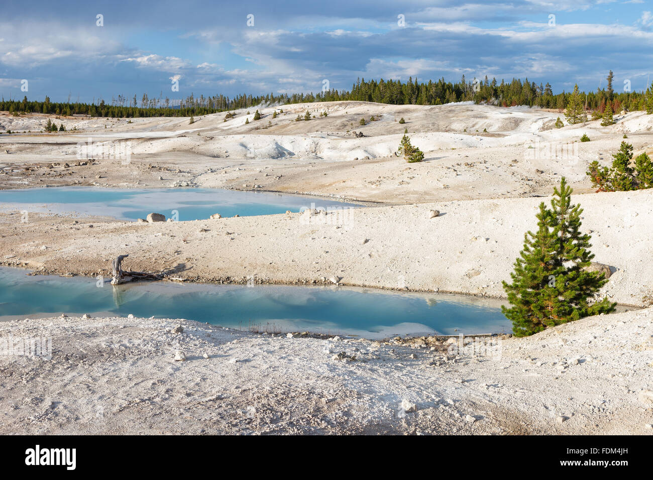 Porcelain Basin, in the Norris Geyser Basin, Yellowstone National Park, Wyomin, United States of America. Stock Photo