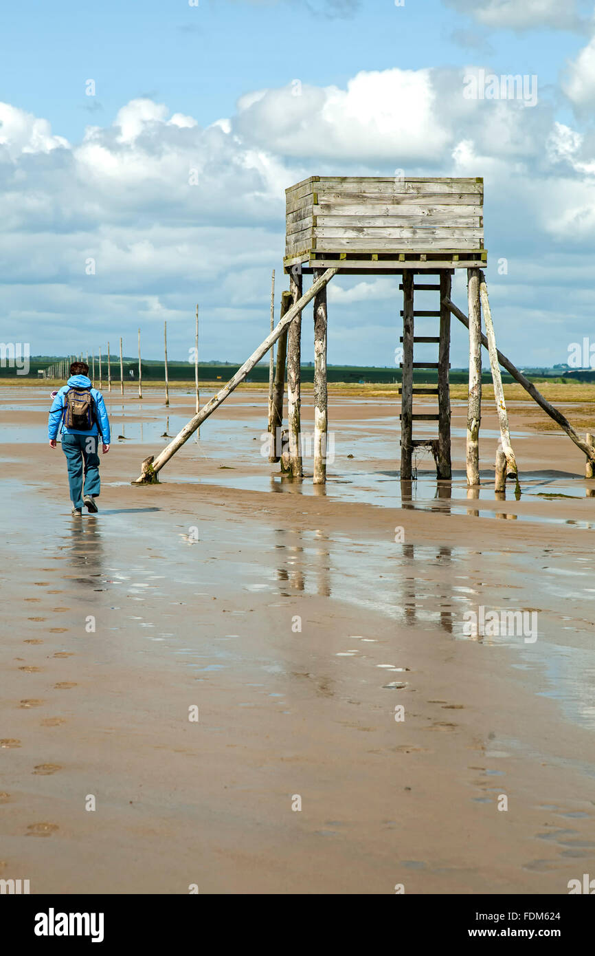 Hiker, safety tower and wooden poles, Pilgrim's Way, Holy Island, England, United Kingdom Stock Photo