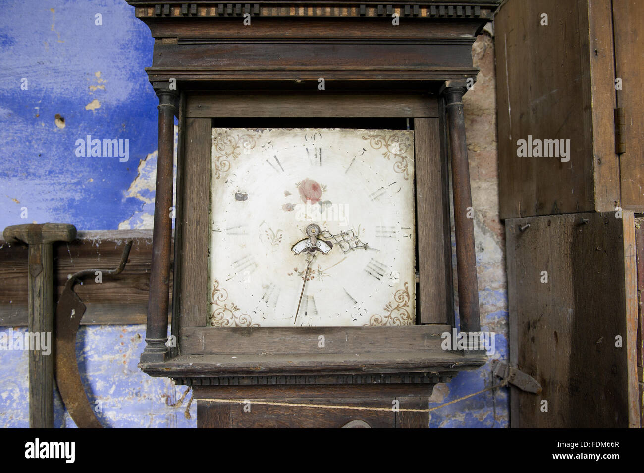Old grandfather clock in the Gardener's Bothy at Calke Abbey, Derbyshire. Stock Photo