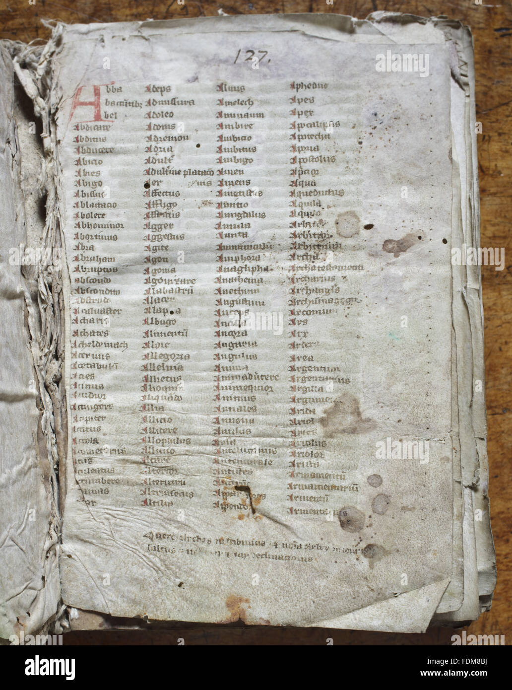 A page from the index of the manuscript of William Brito's Expositiones Vocabulorum Bibliae, from the library of the nuns of Lacock Abbey, early fourteenth century (perhaps written, and certainly bound at Lacock).  This manuscript is believed to be the on Stock Photo