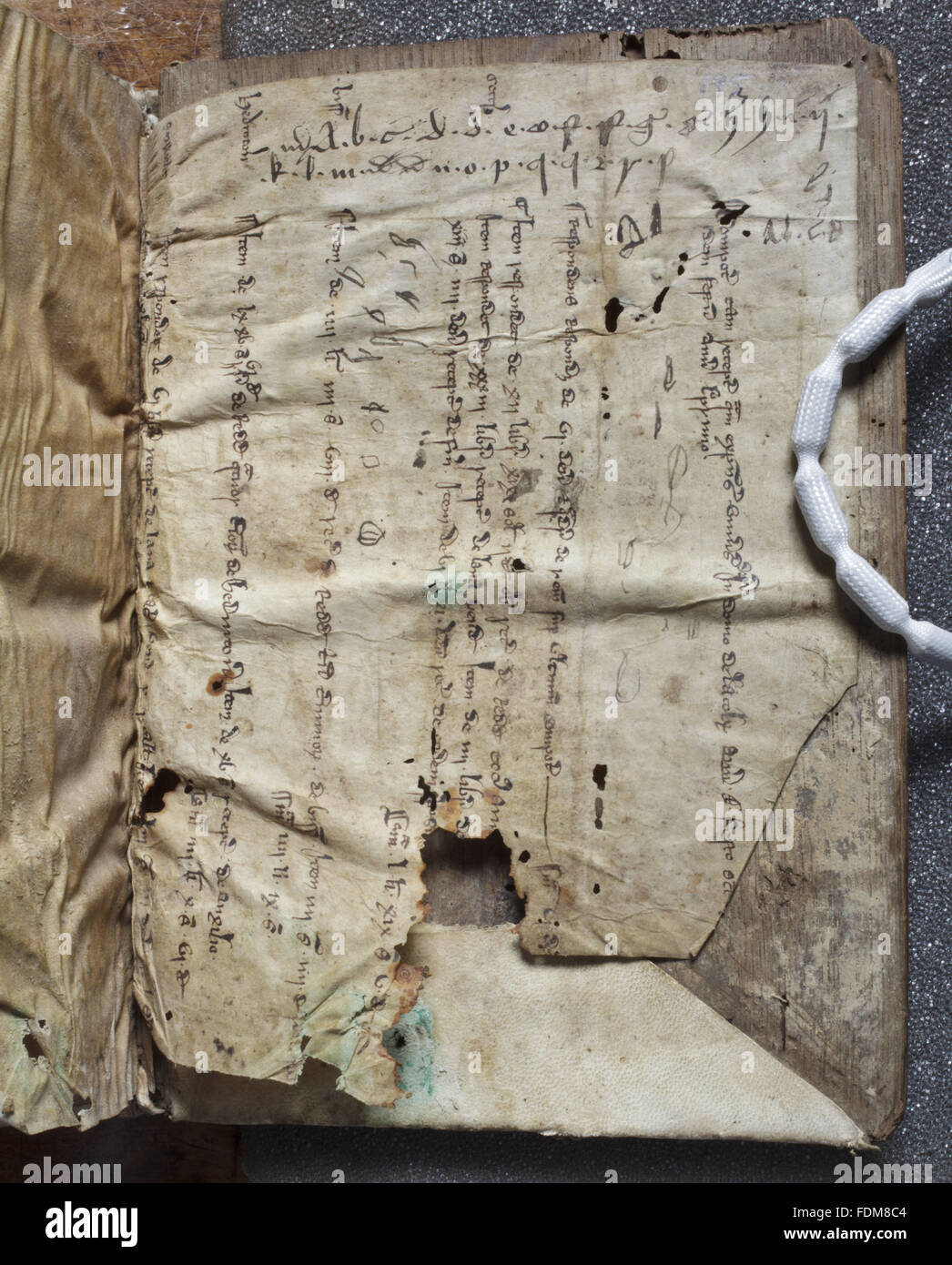 Medieval manuscript detail hi-res stock photography and images - Alamy